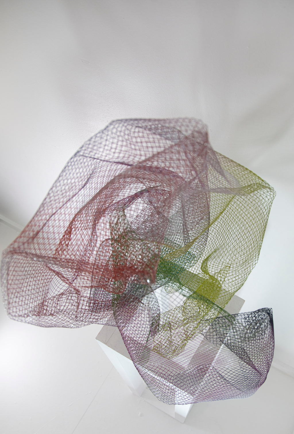 Bloom II