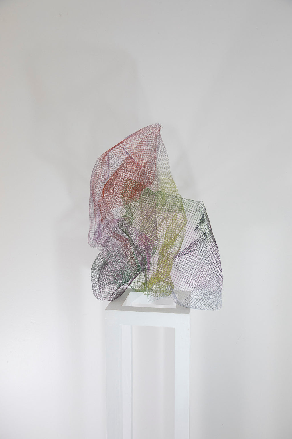 Bloom II
