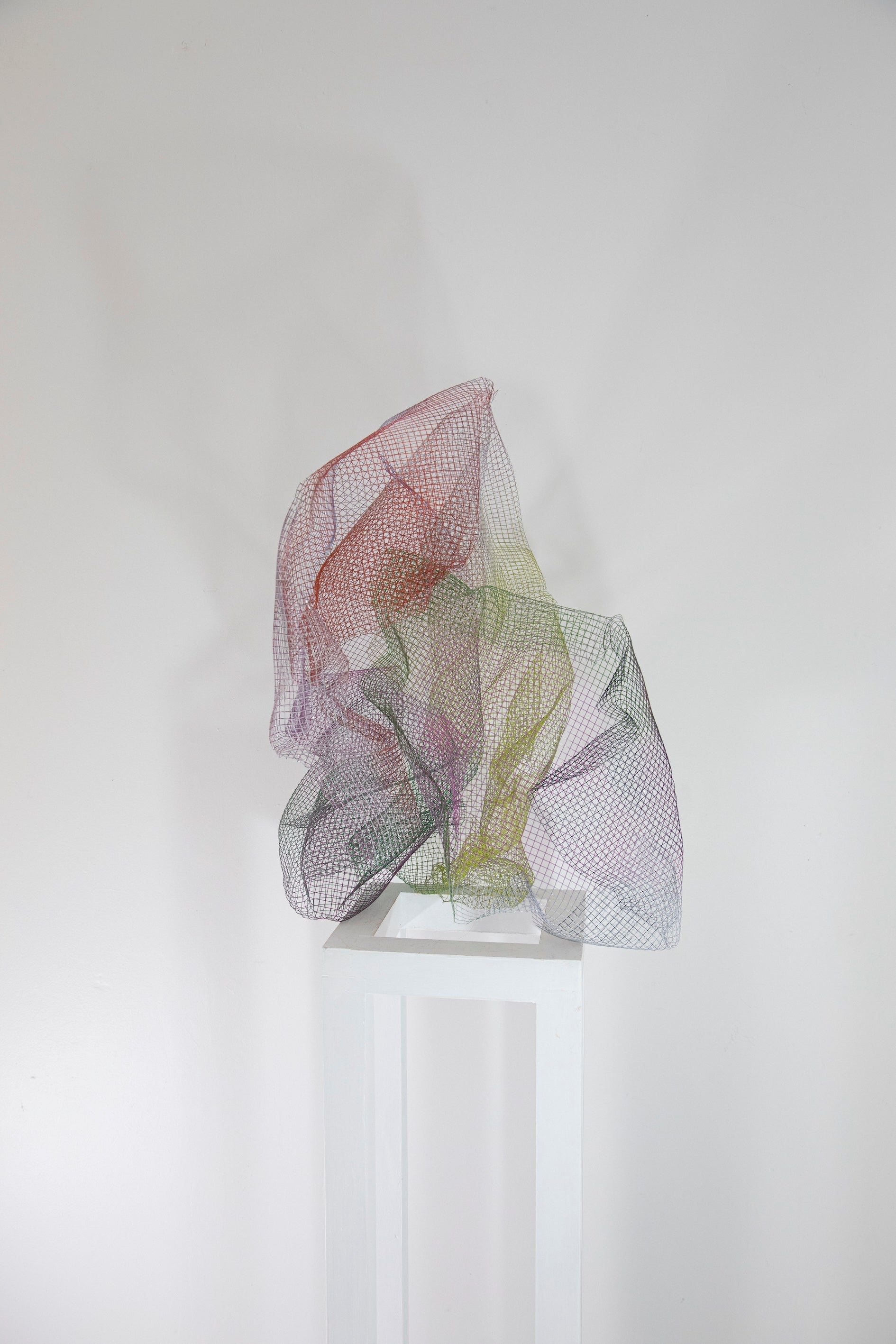 Bloom II