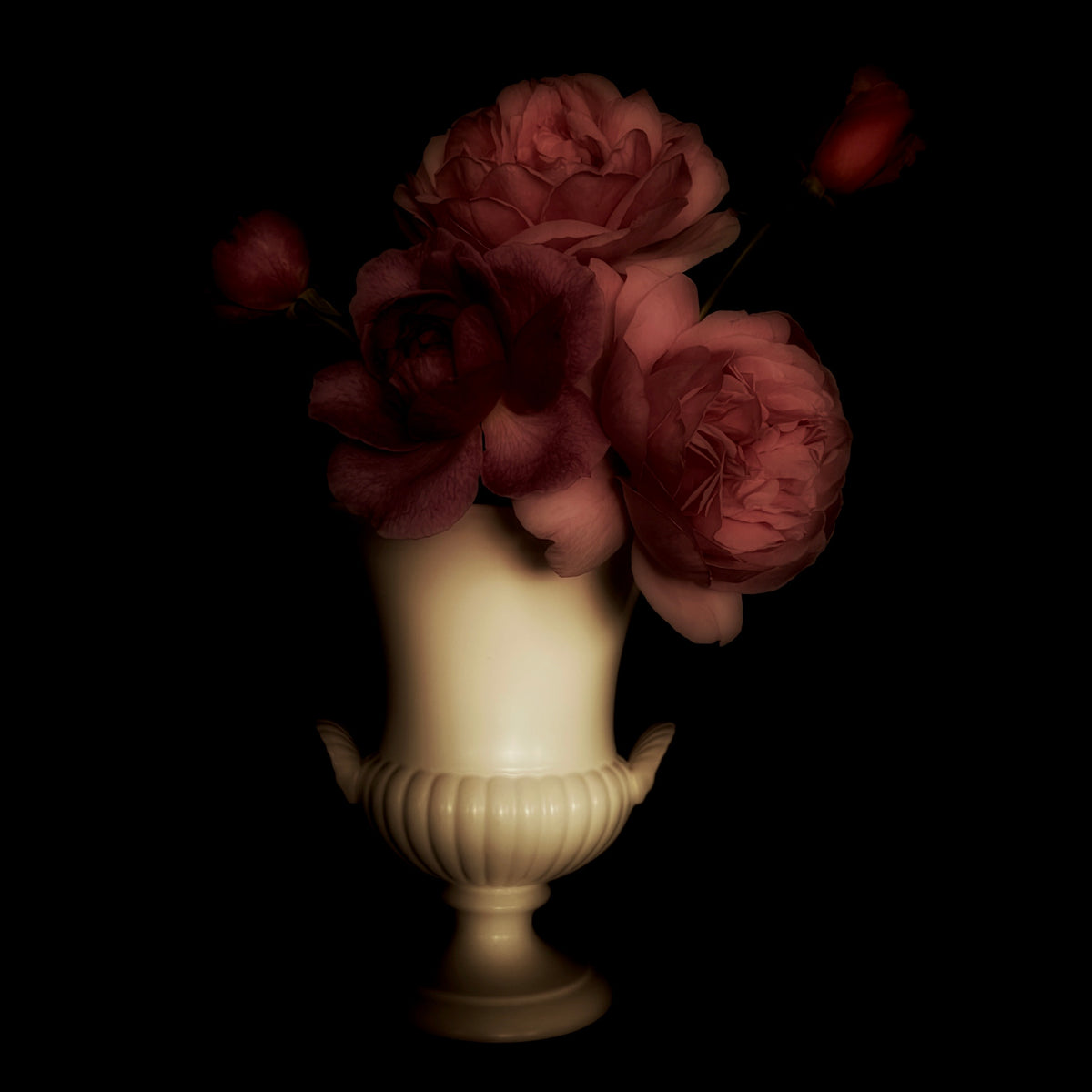 Fragrant Plum 1