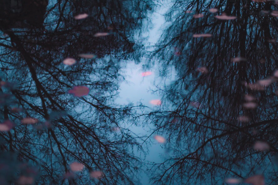 The Upside Down World