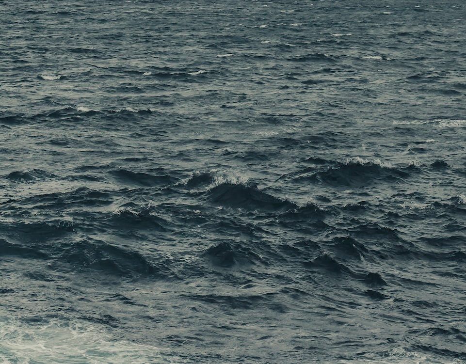 An Ocean In Your Hands