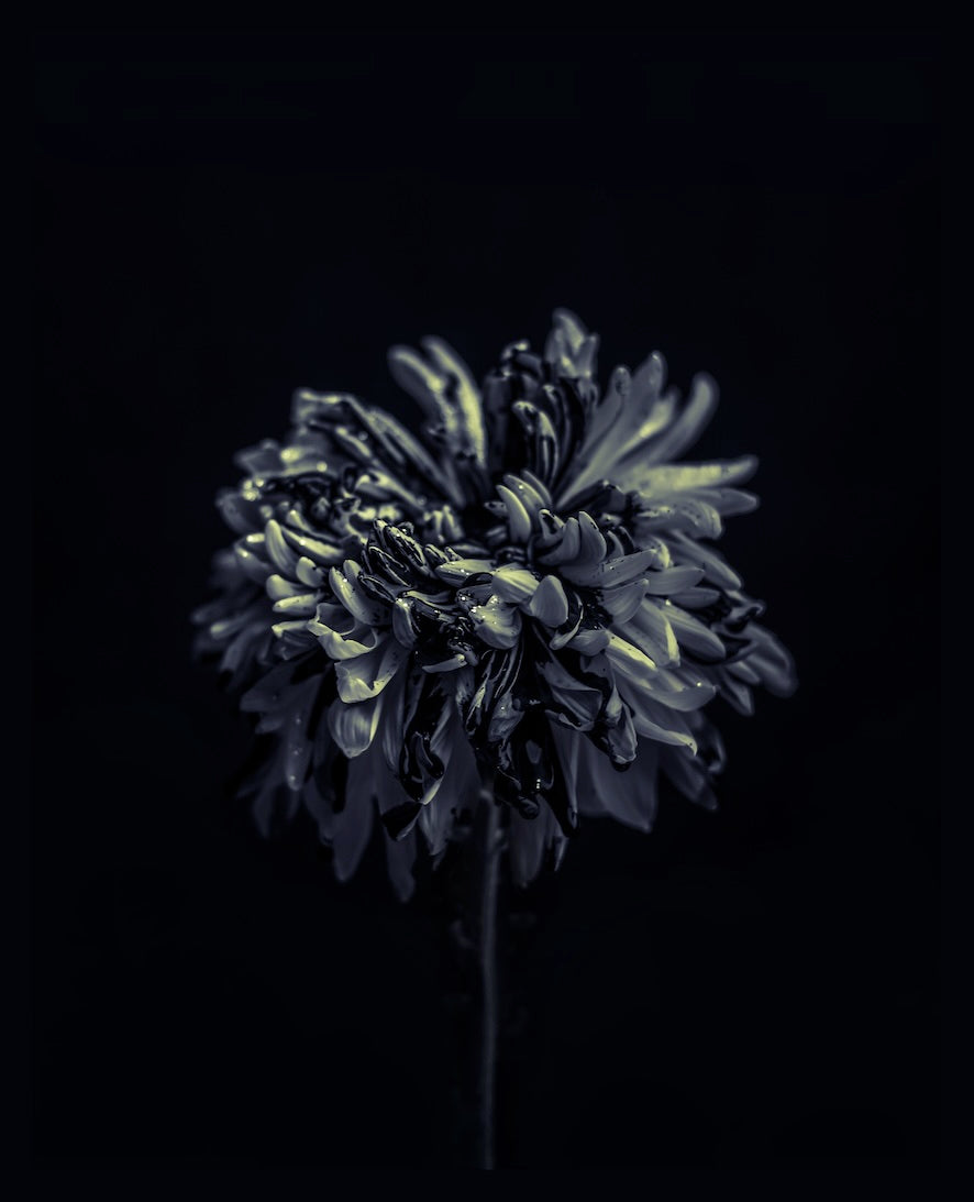 Becoming Something You're Not