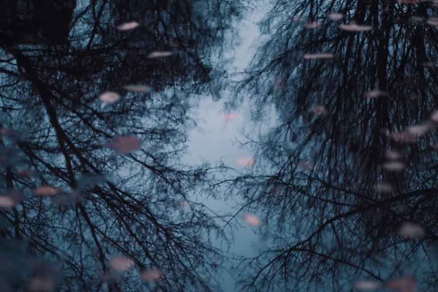 The Upside Down World