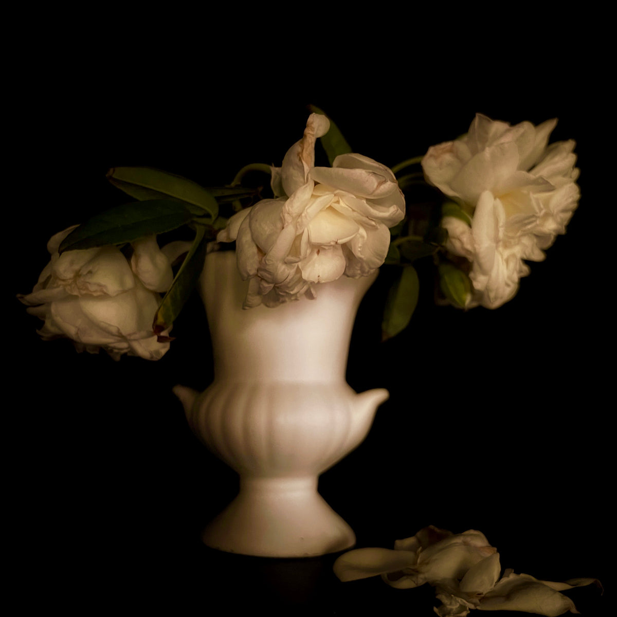 Lamarque