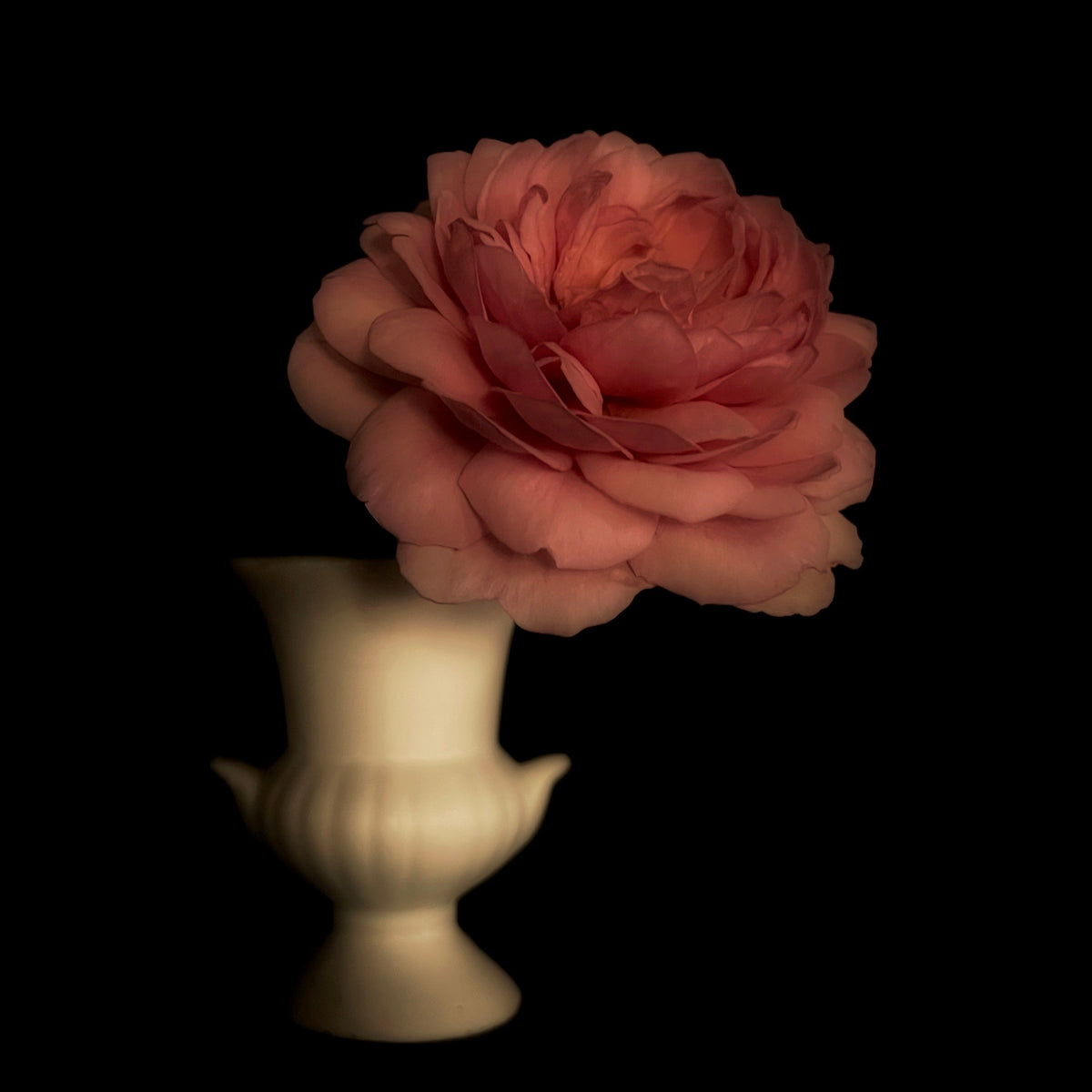 Princess Alexandra of Kent 1