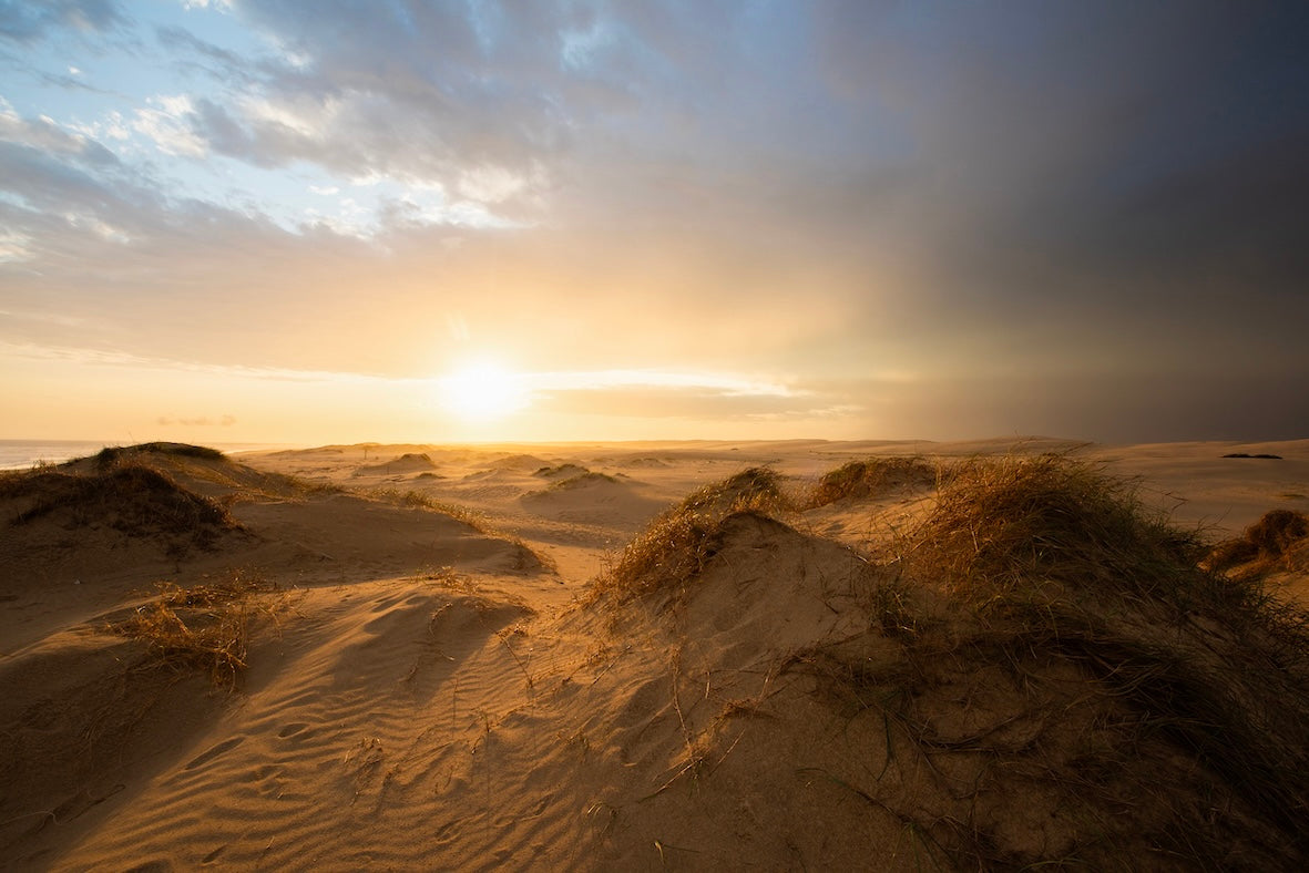 The Spirit of Marloo