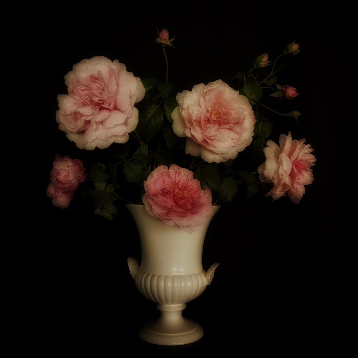 Strawberry Hill 1
